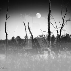 Moon, I'm Swamped