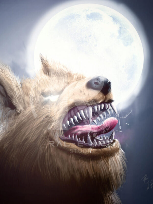 By The Pale Moonlight